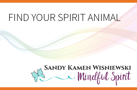 FIND YOUR SPIRIT ANIMAL - Sandy Kamen Wisniewski | Mindful Spirit
