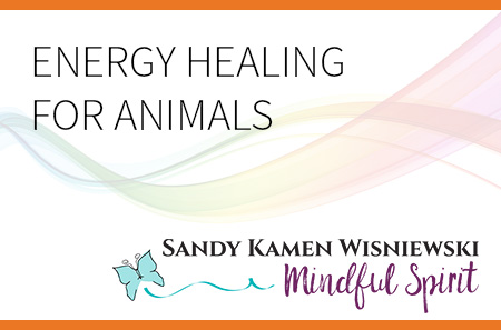 Energy Healing for Animals